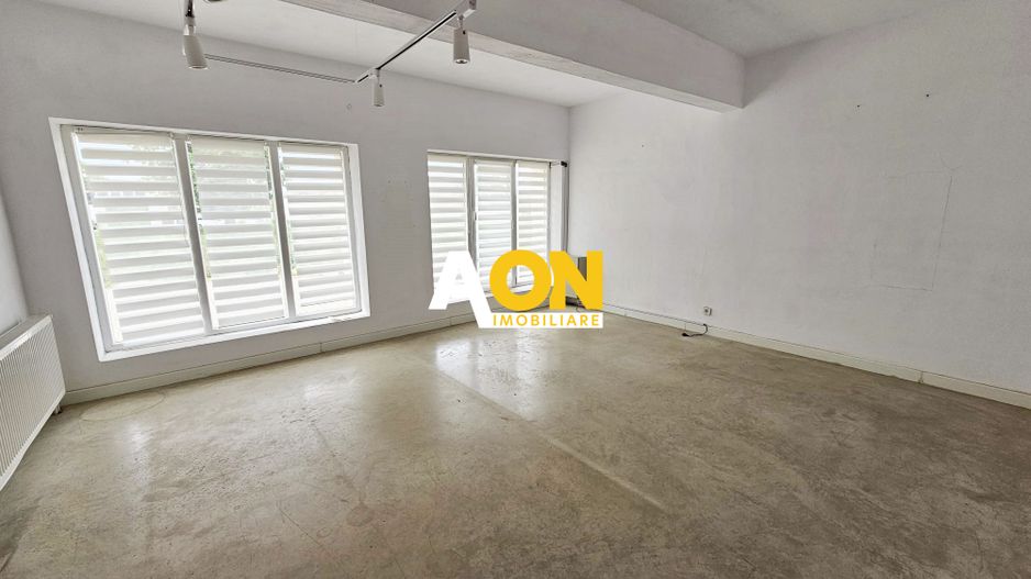 Spatiu industrial pentru productie sau depozitare, 1600 mp, Sebes - Poză 9