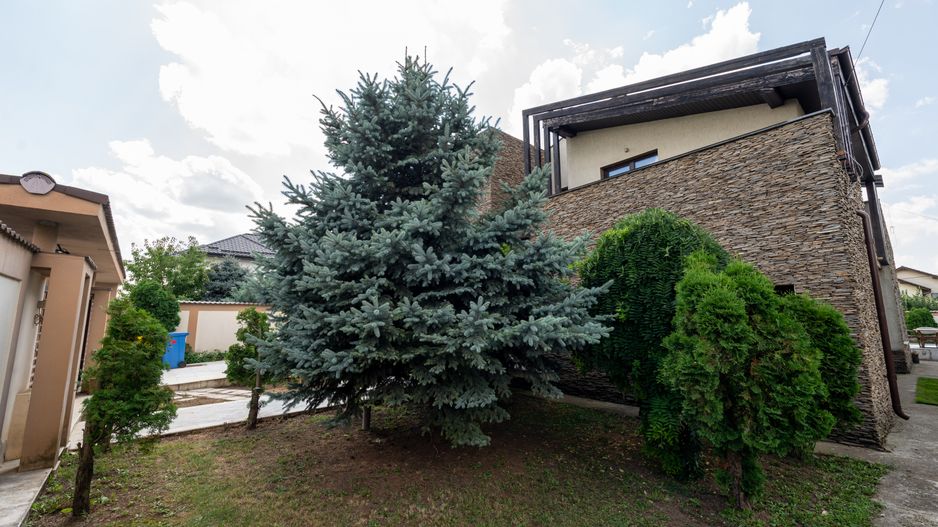 Vila cu piscina, 6 camere, 254mp utili, 815mp teren, com. Berceni - Poză 45