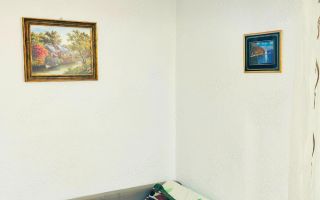 Apartament 1 cameră, 27 mp, etaj 1, zonă Dacia, Iași - centrală proprie - Poză 3