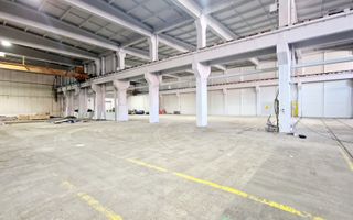 Spatiu industrial flexibil (Depozitare, Logistica, Productie) - Poză 5