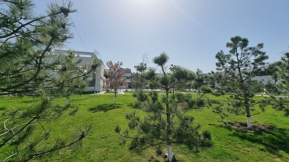 2 Camere Avangarde Rezidential Dudu Chiajna - Poză 5