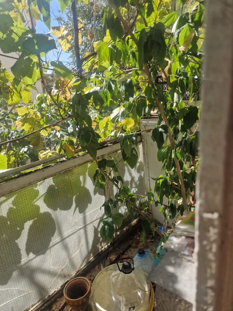 Vanzare apartament 2 camere - Sos. Stefan cel Mare Lizeanu - Poză 6