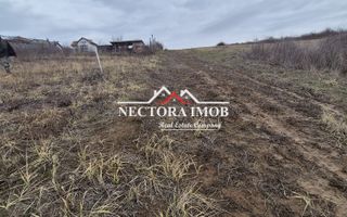 NECTORA IMOB-Teren Intravilan Zona Paleu, 589 mp, Vedere LAC,Utilitati - Poză 4