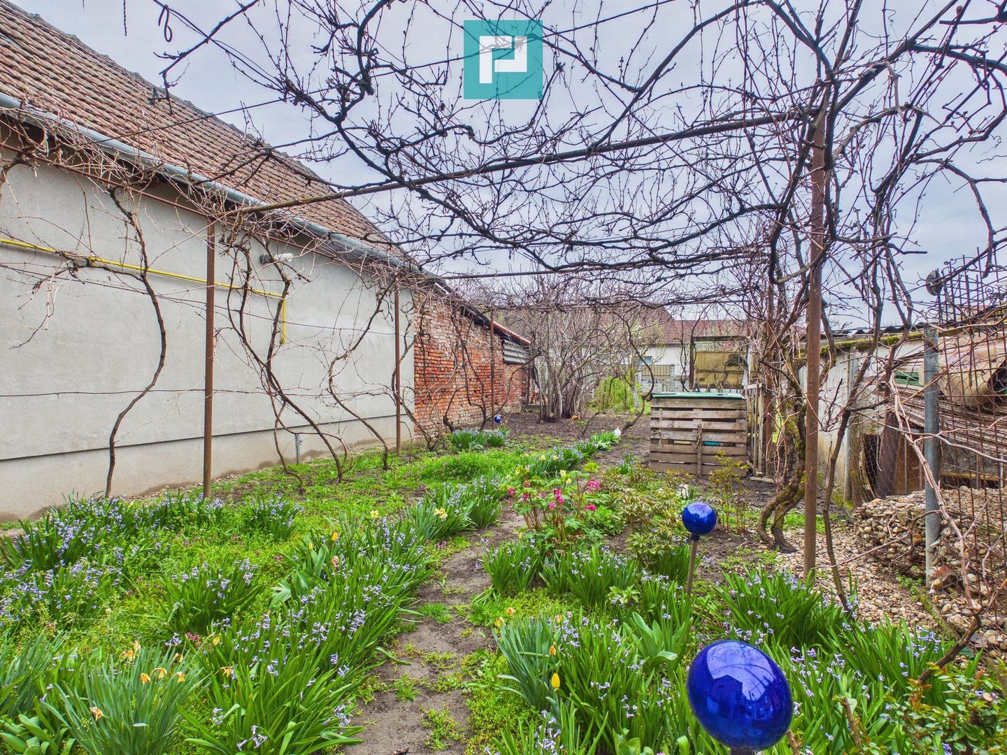 Casă 2 corpuri și 5 camere ultracentral în Curtici - Poză 18