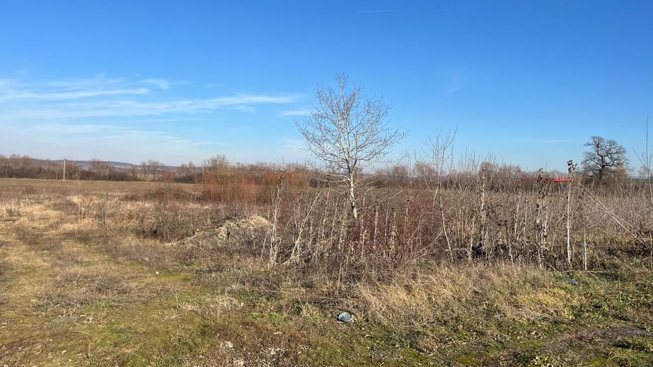 Teren intravilan, Săcădat, 27 921 mp. 9,5 Euro/mp. Comision 0. - Poză 3