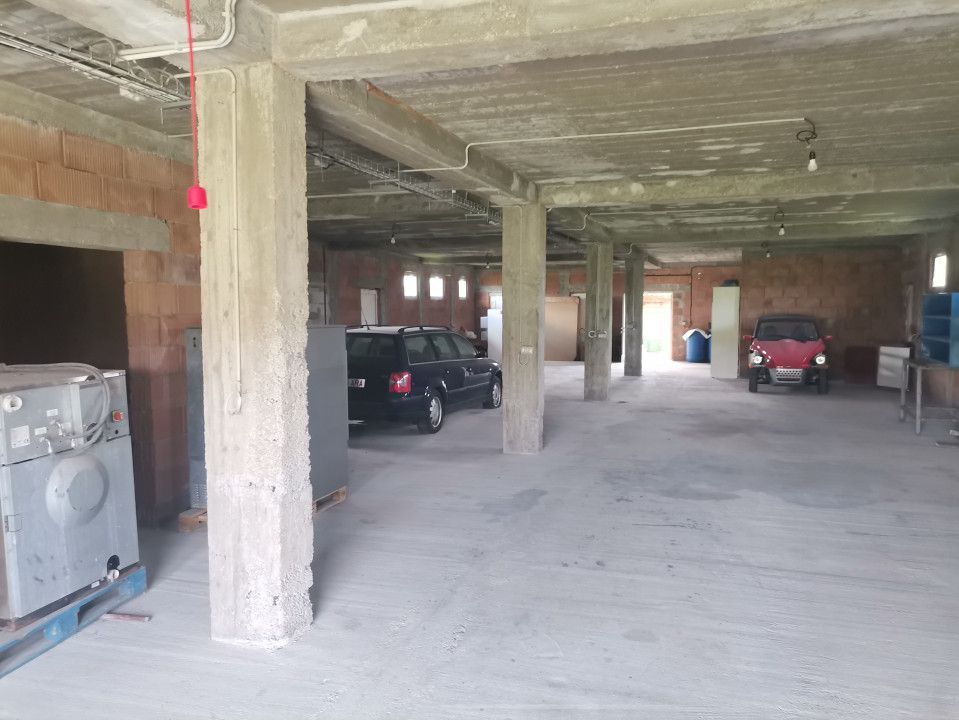 Inchiriere hala depozitare si teren, Labusesti - Poză 4