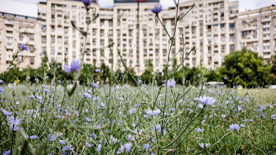 Penthouse 6 camere || 160Mp || P-ta Alba Iulia || Uniri || Decebal ||Teras 110Mp - Poză 19