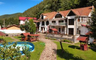 Pensiune de vânzare | 400 MPU | 10 Camere | Rasinari - Curmatura - Poză 2