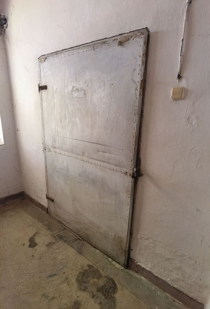 Spatiu industrial zona Sud-Arad - Poză 14