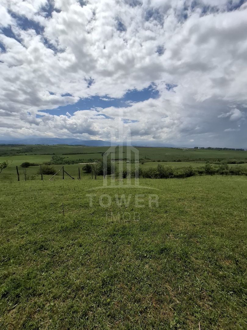 De vanzare, teren 11.500 mp – Dealul Dăii,  Vedere panoramică spre munți și lac - Poză 8