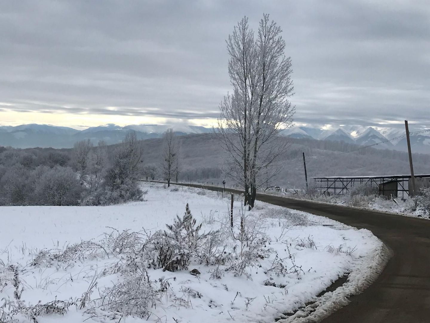 Ferma cu teren de 200 hectare - Poză 5