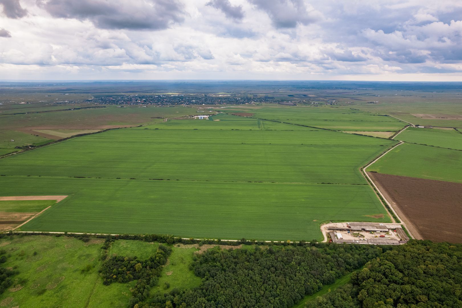 Teren arabil de 1299 hectare în Iași - Poză 2