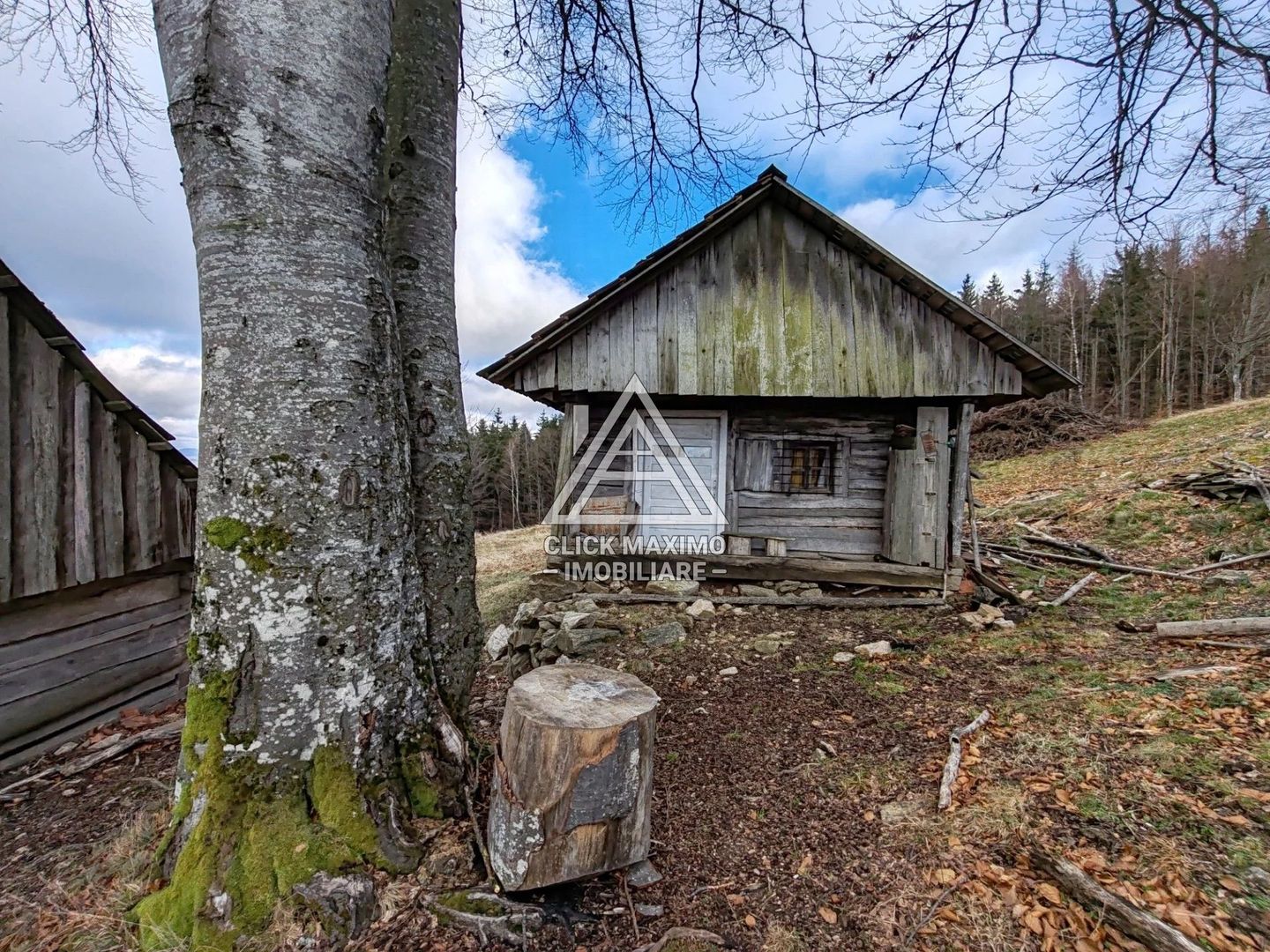 19.5 Hectare în Zona Turistică Montană – Bulz, Bihor - Poză 7