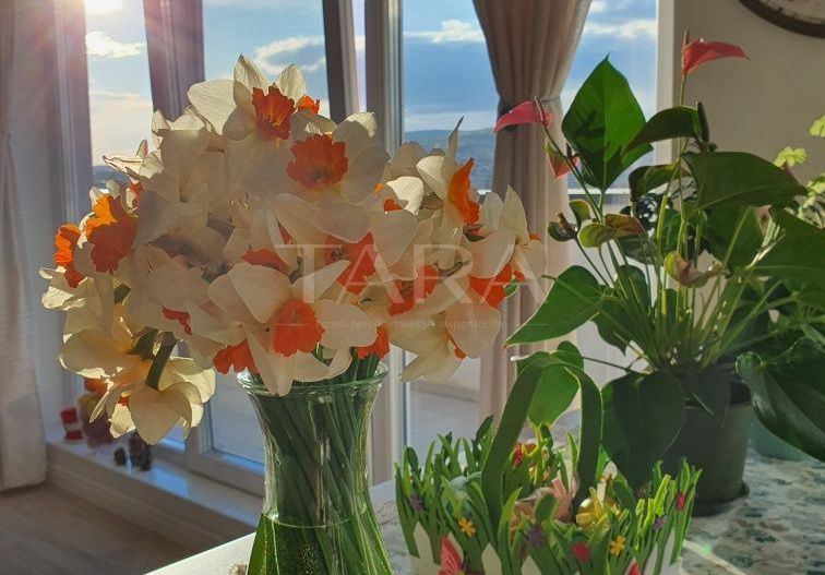 Apartament cu 4 camere ultrafinisat, situat în zona Bulgaria – confort și eleganță! - Poză 3