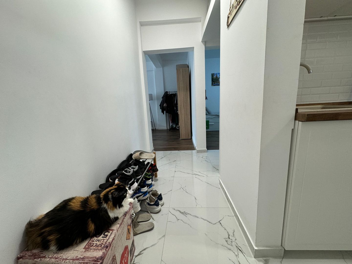 APARTAMENT 2 CAMERE | RENOVAT | FLOREASCA COMPOZITORII - Poză 9