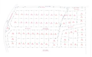 Teren  Sanandrei- zona str Lalelelor-1390 mp - Poză 3