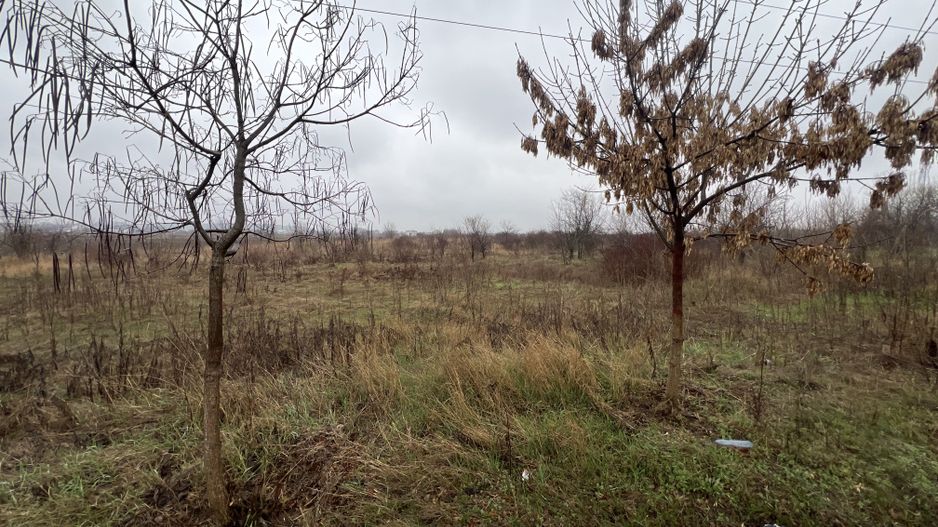 Teren la DN7 - ideal investitie (Benzinarie, spalatorie, hala) - Poză 10