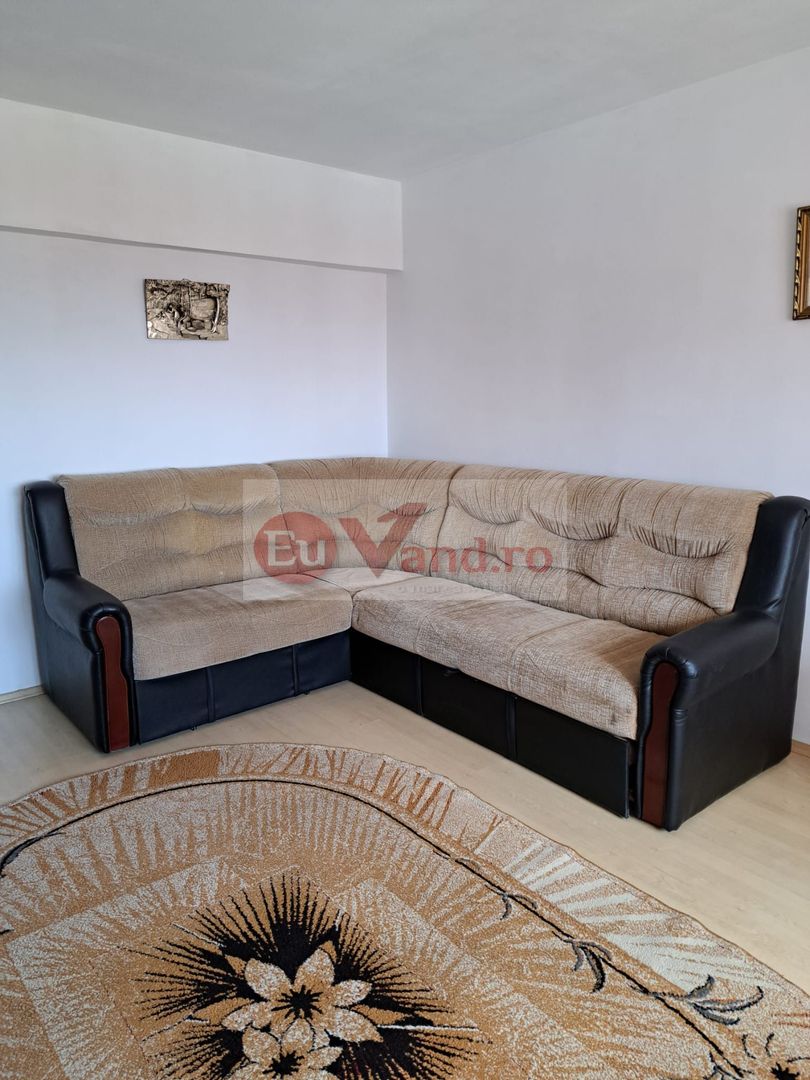 De inchiriat - apartament cu o camera, Gara, mobilat si utilat - 300 euro - Poză 3
