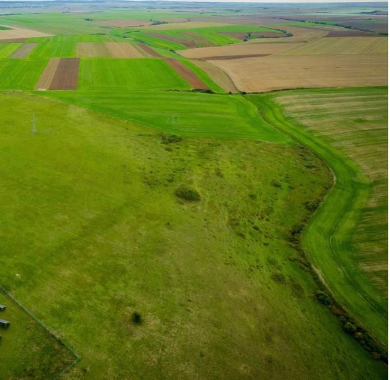 Teren agricol 5ha Giarmata langa Antena Radar - Poză 5