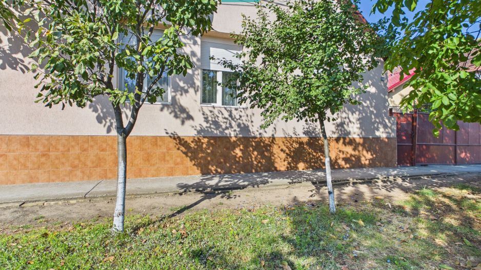 Casă 130 mp și teren de 864 mp - Cărpiniș - Poză 2