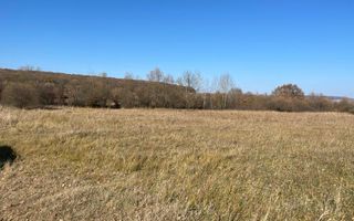 Teren industrial | servicii Selimbar DN | 2934mp - Poză 1