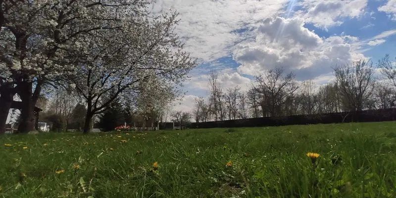 Casa de vanzare |Nuci, Balta Neagra, la 25 de minute de București - Poză 1