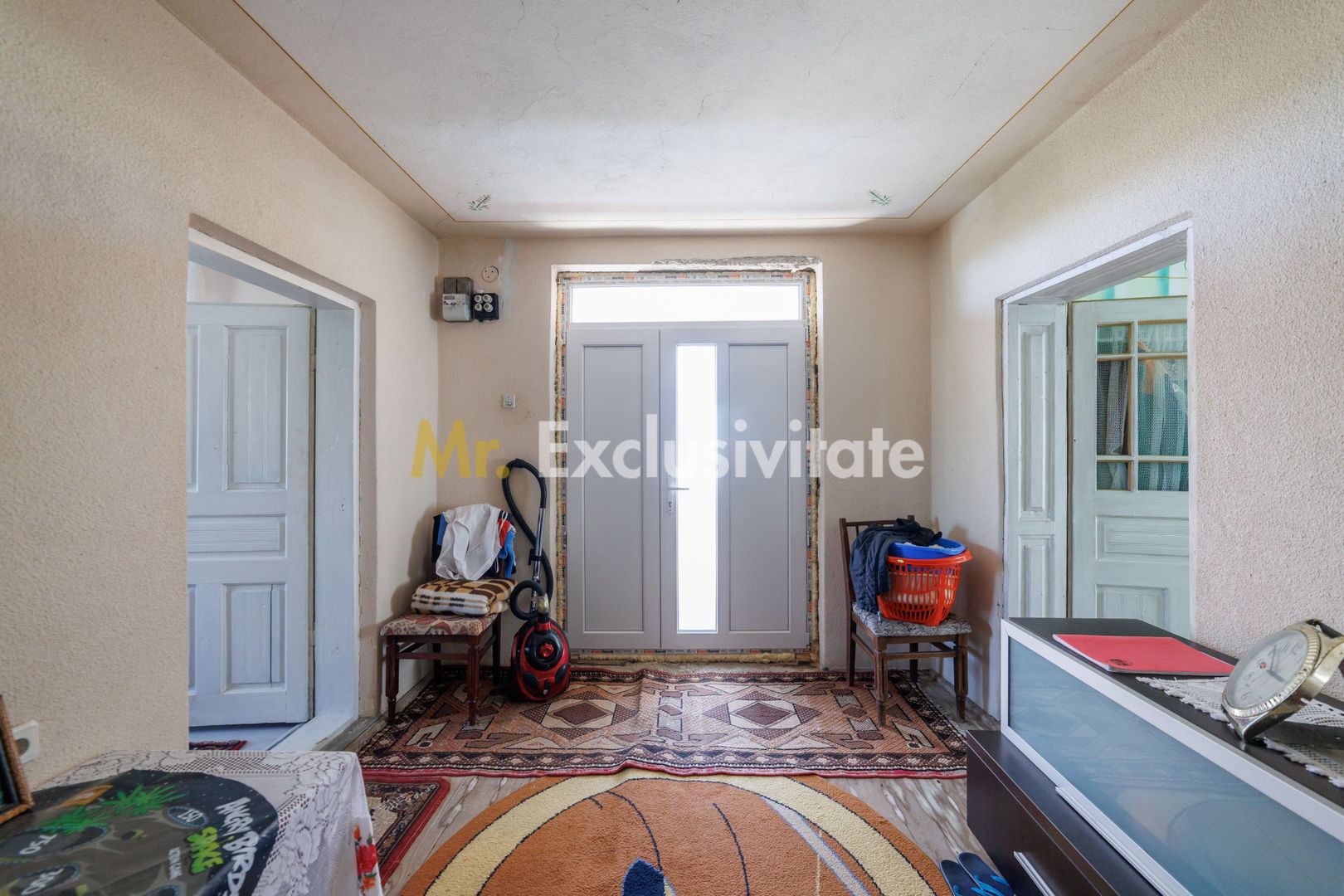 CASA SI GOSPODARIE DE VANZARE – SPINENI, OLT | 4.000 MP TEREN - Poză 7