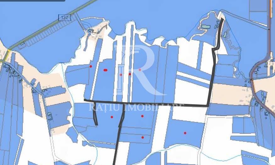 Teren agricol 19,87ha | Acces la drum public | Tileagd | Bihor - Poză 3