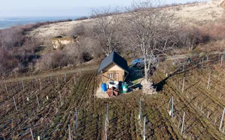 Vita-de-vie Premium  teren de 6800 mp în Covăsinț - Poză 13