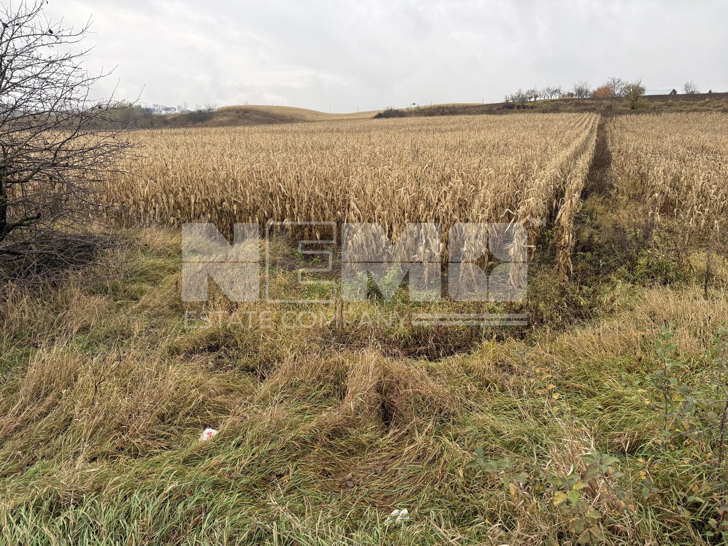 Teren 24 ari | Grănicesti | Front 19 m | DN2H - Poză 3