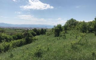 Teren extravilan - 8000 mp, Gusterita - Poză 2