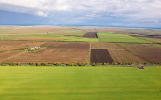 Teren de 40 ha pe E671, Arad - Poză 3