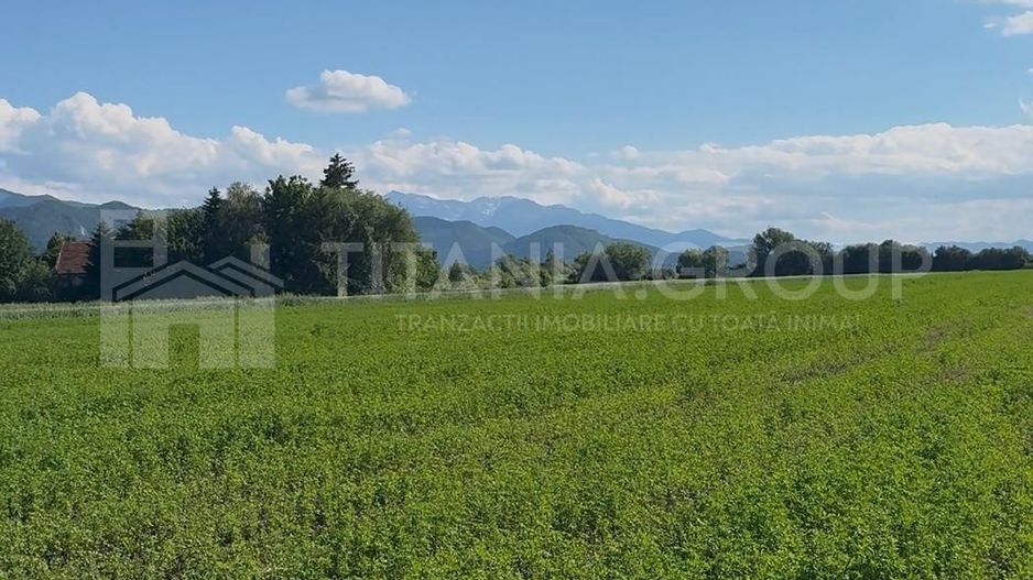 Teren intravilan 3h, Stupini -Str. Oitelor, asfalt si utilitati la 70 m - Poză 12