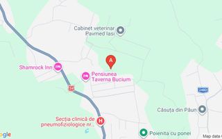 Teren intravilan cu vedere panoramică și PUZ aprobat, strada Ilie Bărbulescu nr. 18, Iași - Poză 1