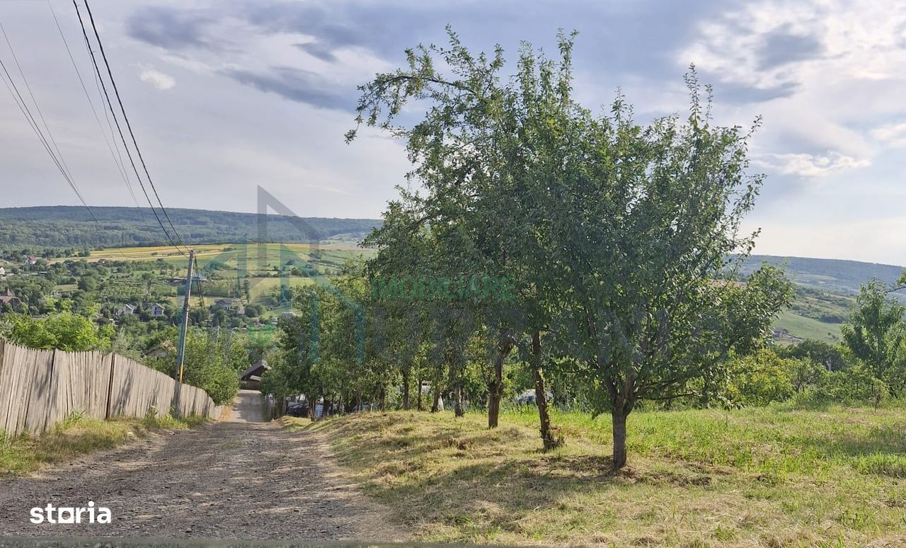 Teren Chicerea – 740 mp, lângă școală - Poză 3