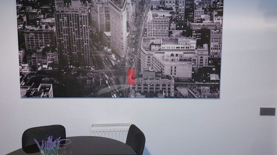 Apartamentul "ZESTOS" , Tineretului-metrou, bloc/vila - Poză 23