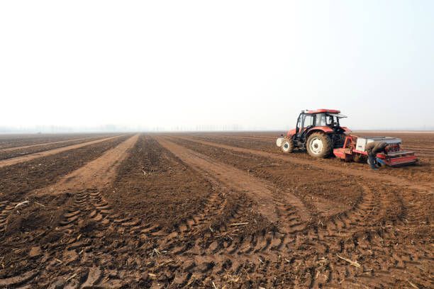 Ferma de Cultura Mare 1100 HA - Poză 2
