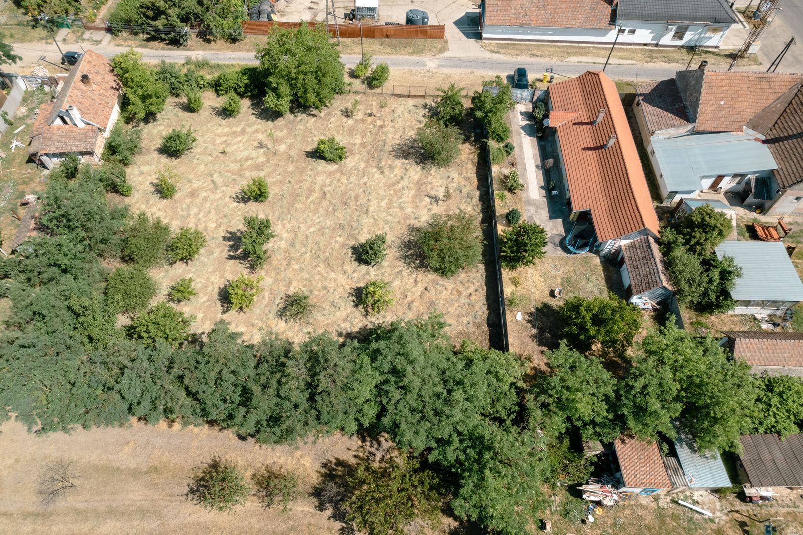 Casă cu teren 3332mp în Bătania - Poză 2