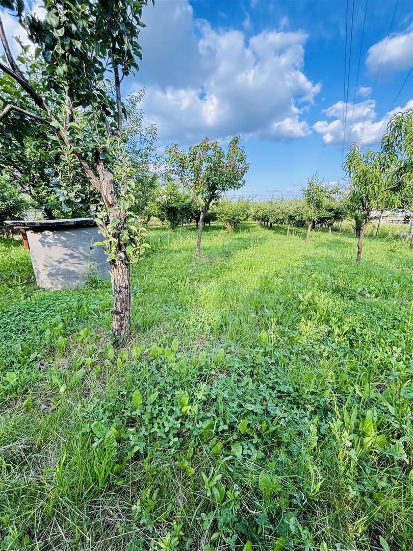 VILA CU 14 CAMERE SI 3405 MP TEREN IN SANMARTIN - Poză 8