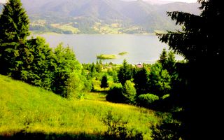 Teren intravilan de vanzare - Colibita - Poză 10