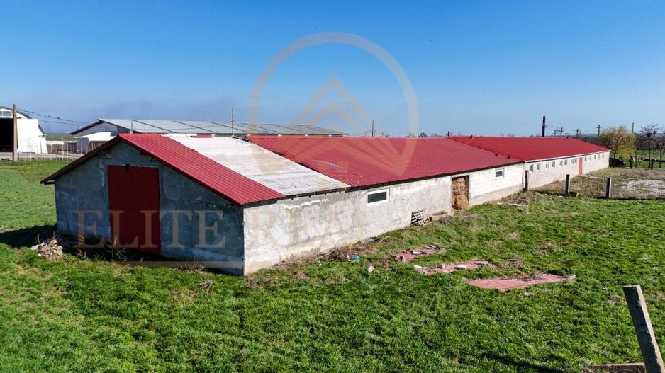 Tariverde - Ferma zootehnica functionala, 3 hectare teren intravilan! - Poză 8