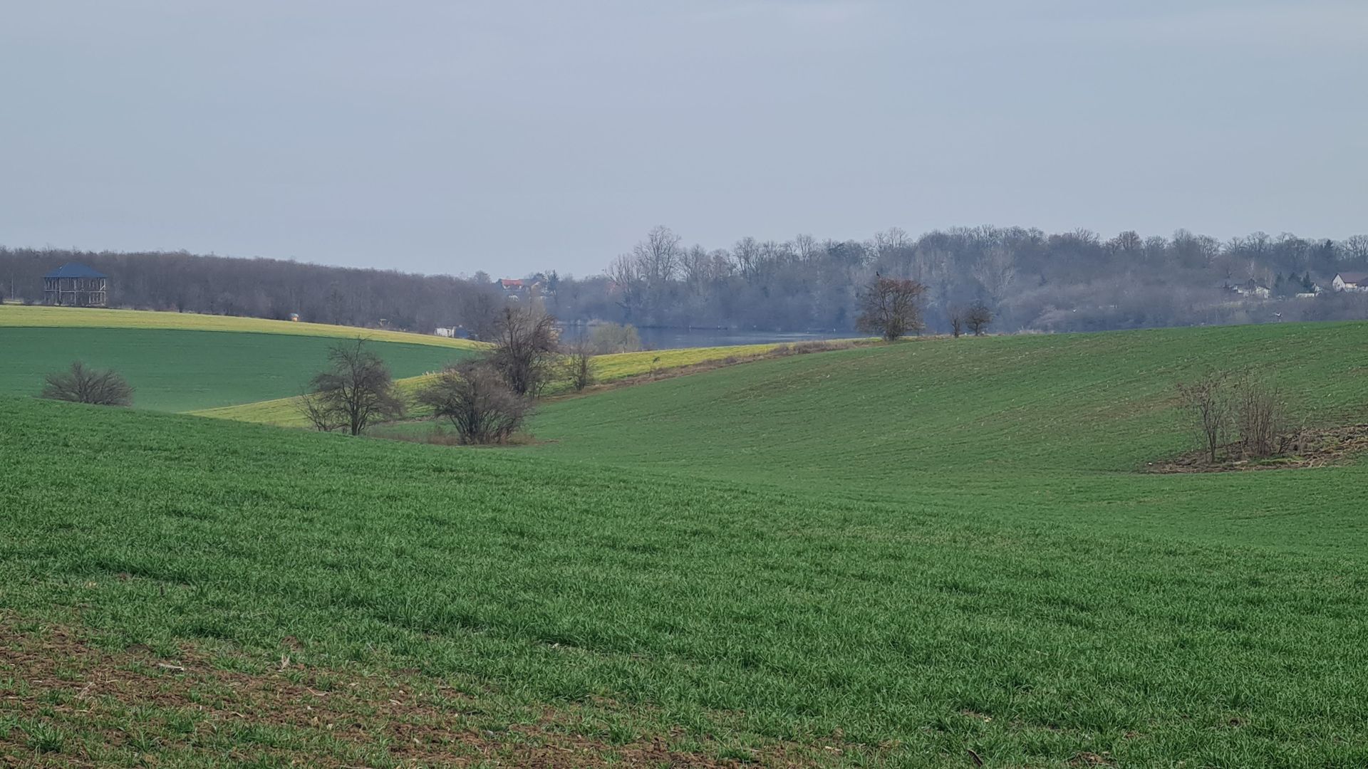 Lot 1000 mp in umbra padurii cu view la lacul academiei din Caciulati - Poză 1