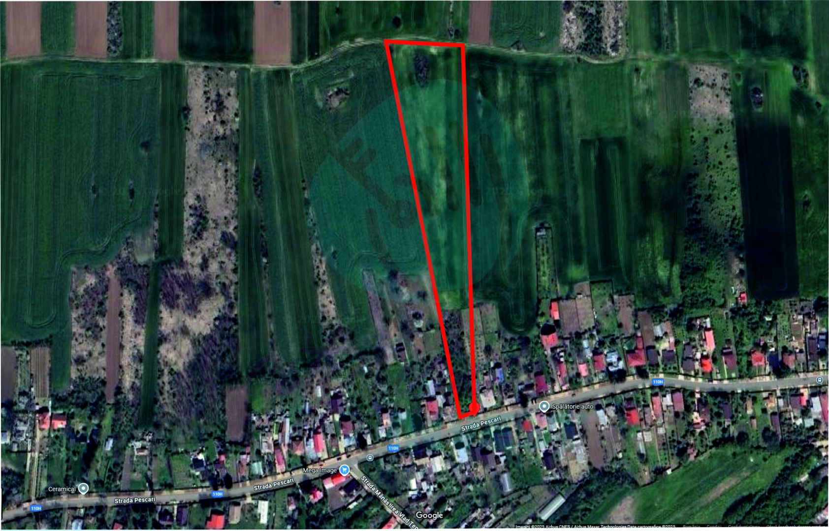 Teren 16534 mp pentru dezvoltare rezidențială, Siliștea Snagovului - Poză 2