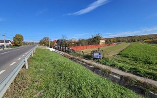 Teren de vânzare - 4000 mp stradal, DN73 Pitești - Câmpulung - Poză 6