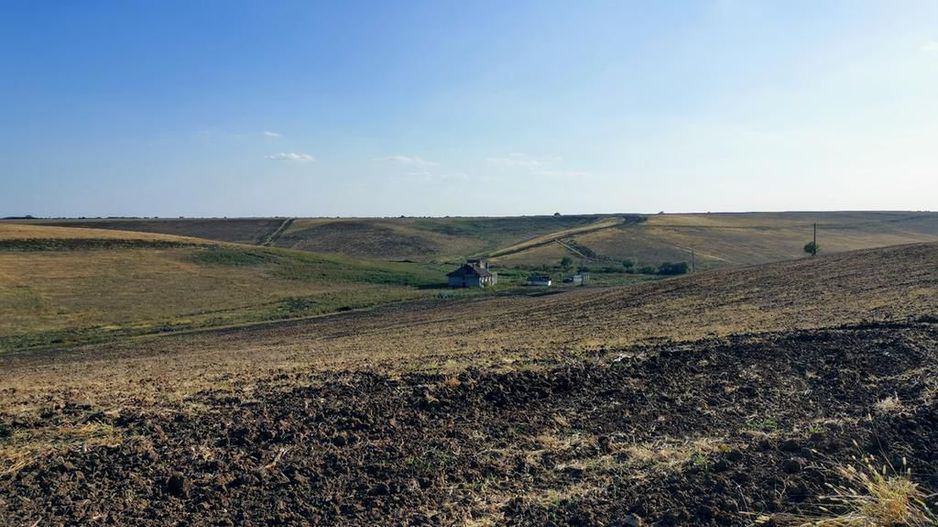 Ferma 415 ha comasat Timisoara NORD - Poză 8