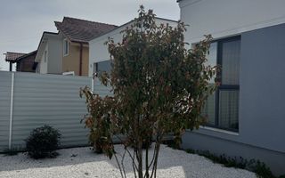 Duplex pe  Parter -Dumbravita-GATA DE MUTARE - Poză 2