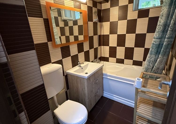 2 camere Piata Minis, etaj 2, pet friendly, pret negociabil - Poză 3