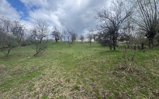 TEREN INTRAVILAN 4365 MP POENARII DE MUȘCEL  JUDEȚUL ARGES - Poză 20