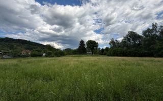 Teren plat-intravilan -3800 mp, cu pădurice și ieșire la râu! - Poză 14