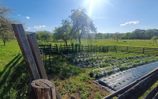 Descoperă căsuța ta de vis la poalele Munților Apuseni - Poză 19